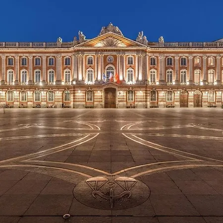 Appartement Le Cocon Dore Hyper-centre & Cozy - Wifi Toulouse